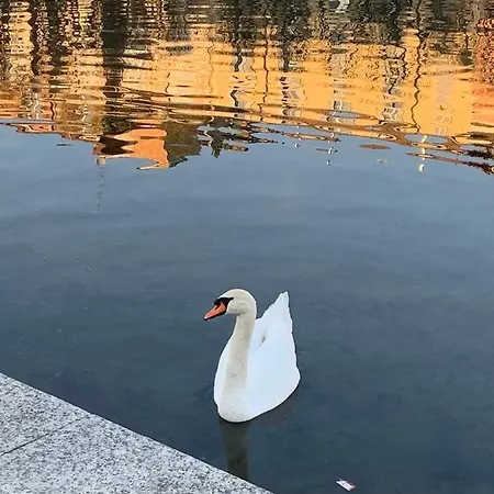 Con Terrazza In Zona Navigli - Tortona Daire